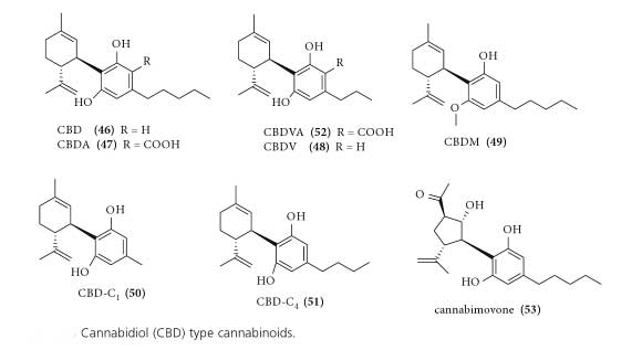 CBD's popularity grows while it remains a grey legal area.